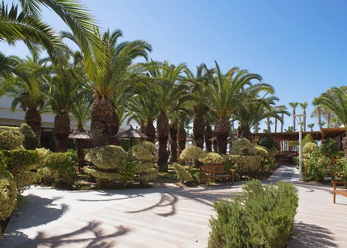 Resort The Grandresort - Leonardo Limited Edition